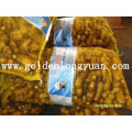 Fresh Ginger Packed in 20kg Mesh Bag for Bangladesh Market